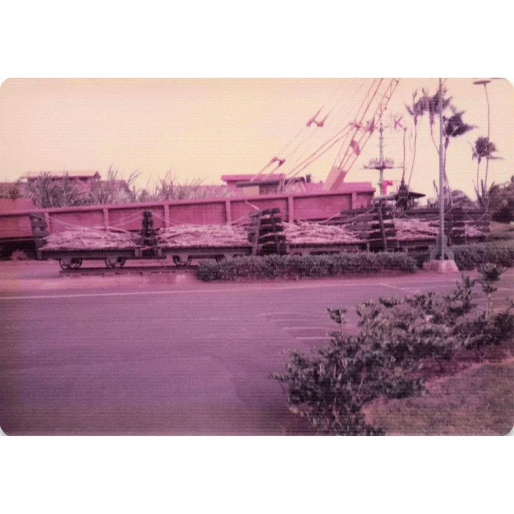 Vintage Hawaii Sugar Cane Mill Processing Lot of 5 Photos - Picture 4 of 5